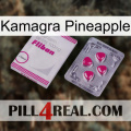 Kamagra Pineapple 32